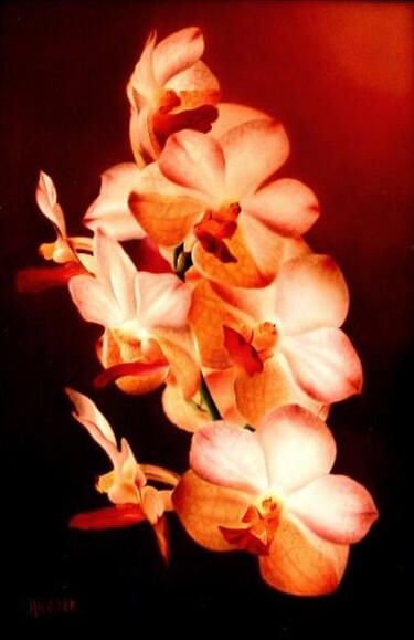 Peinture intitulée "Branche d'orchidées" par Jean-Jacques Hauser, Œuvre d'art originale