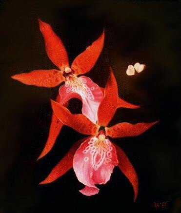 Peinture intitulée "Orchidees_rouges.jpg" par Jean-Jacques Hauser, Œuvre d'art originale