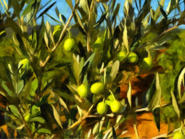 Photographie intitulée "Branches d'olivier" par Jean-Louis Bouzou, Œuvre d'art originale, Photographie manipulée