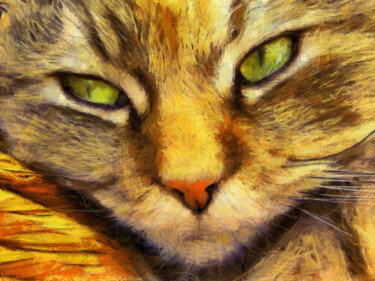 Photography titled "Chatte persane" by Jean-Louis Bouzou, Original Artwork, Digital Photography