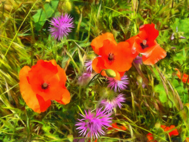 Photographie intitulée "Coquelicots et char…" par Jean-Louis Bouzou, Œuvre d'art originale, Photographie numérique