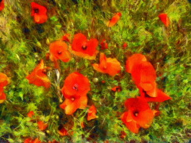 Photography titled "Coquelicots - 3" by Jean-Louis Bouzou, Original Artwork, Digital Photography