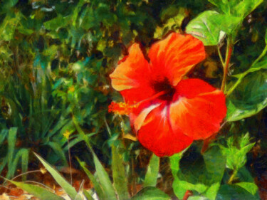 Photographie intitulée "Fleur d'hibiscus" par Jean-Louis Bouzou, Œuvre d'art originale, Photographie numérique