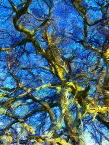 Photographie intitulée "Branches de chêne" par Jean-Louis Bouzou, Œuvre d'art originale, Photographie numérique