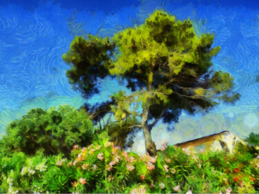 Photographie intitulée "Paysage aux pin et…" par Jean-Louis Bouzou, Œuvre d'art originale, Photographie numérique