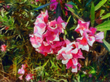 Photographie intitulée "Laurier rose" par Jean-Louis Bouzou, Œuvre d'art originale, Photographie numérique