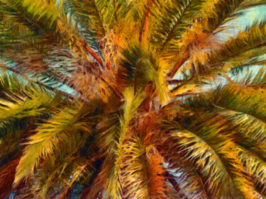 Photographie intitulée "Cœur de palmier" par Jean-Louis Bouzou, Œuvre d'art originale, Photographie numérique