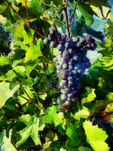 Photography titled "Grappe de raisin" by Jean-Louis Bouzou, Original Artwork, Digital Photography