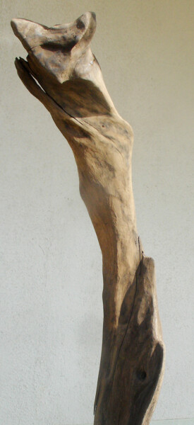 Sculpture titled "l'Effraie" by Jean Louis Renaudin, Original Artwork, Wood