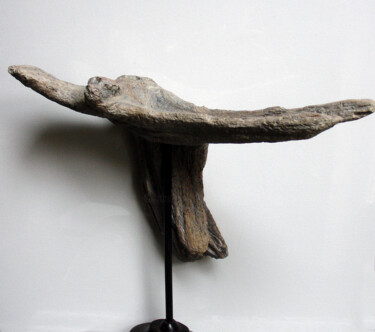 Sculpture titled "envol de la raie" by Jean Louis Renaudin, Original Artwork, Wood