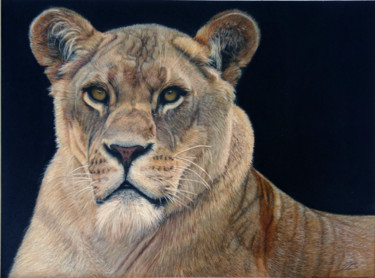 Drawing titled "lionne" by Jean-Louis Silvestri, Original Artwork, Pastel