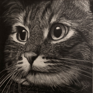 Dessin intitulée "chat" par Jean-Louis Silvestri, Œuvre d'art originale, Graphite