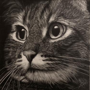 Disegno intitolato "chat" da Jean-Louis Silvestri, Opera d'arte originale, Grafite