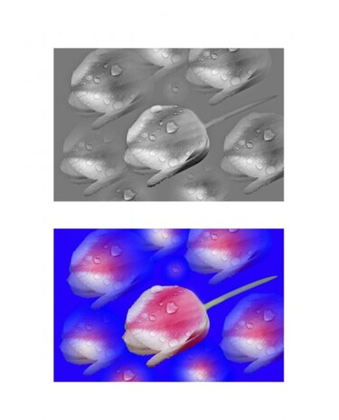 Arts numériques intitulée "Tulipe de Jardinet…" par Jean-Luc Bohin, Œuvre d'art originale