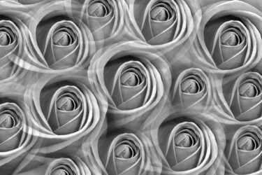 Arts numériques intitulée "roses" par Jean-Luc Bohin, Œuvre d'art originale