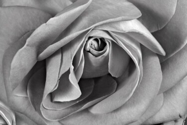 Arts numériques intitulée "rose (détail)" par Jean-Luc Bohin, Œuvre d'art originale