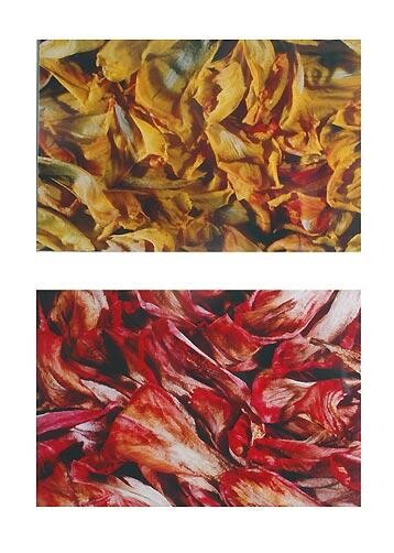 Digital Arts titled "Tulipes jaunes & ro…" by Jean-Luc Bohin, Original Artwork