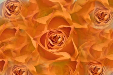 Photography titled "Rose Orange" by Jean-Luc Bohin, Original Artwork