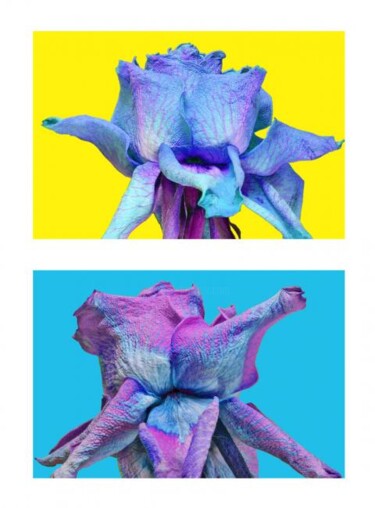 Arts numériques intitulée "bleu rose jaune" par Jean-Luc Bohin, Œuvre d'art originale