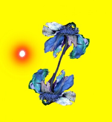 Цифровое искусство под названием "Siamoises au Soleil" - Jean-Luc Bohin, Подлинное произведение искусства
