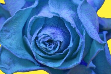 Photographie intitulée "Rose Fanée Bleue" par Jean-Luc Bohin, Œuvre d'art originale
