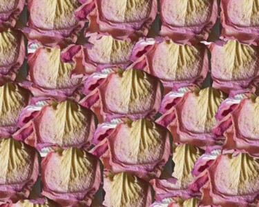 Photography titled "Rose Multiple" by Jean-Luc Bohin, Original Artwork