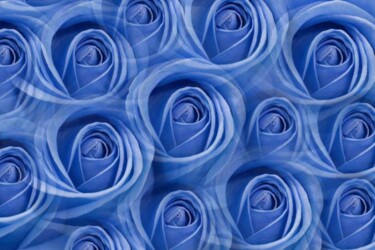 Photographie intitulée "Roses Bleues" par Jean-Luc Bohin, Œuvre d'art originale