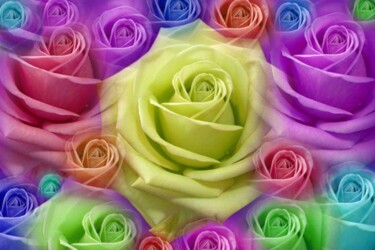 Photography titled "Roses Multicolores" by Jean-Luc Bohin, Original Artwork