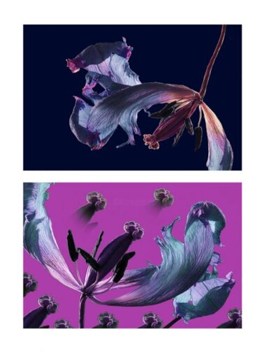 Grafika cyfrowa / sztuka generowana cyfrowo zatytułowany „Pistils en Folie 5” autorstwa Jean-Luc Bohin, Oryginalna praca