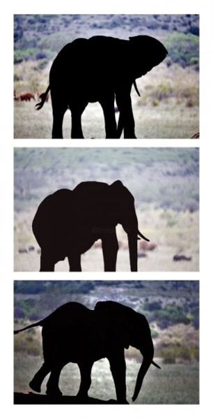 Digital Arts titled "Elephant" by Jean-Luc Bohin, Original Artwork, Other