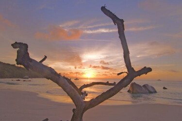 Fotografía titulada "anse lazio 28" por Jean-Luc Bohin, Obra de arte original