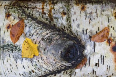 Photographie intitulée "Fish & Birch" par Jean-Luc Bohin, Œuvre d'art originale