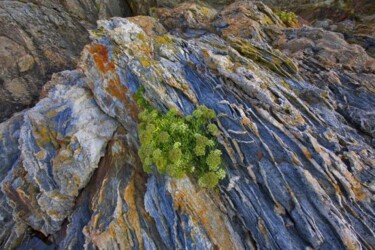 Photographie intitulée "CRISTE-MARINE AU TA…" par Jean-Luc Bohin, Œuvre d'art originale