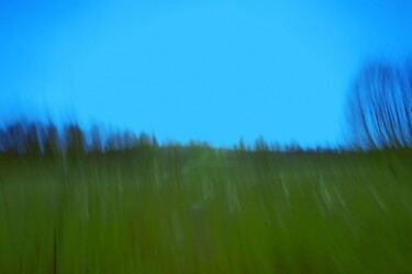 Photography titled "Pré Vert" by Jean-Luc Bohin, Original Artwork