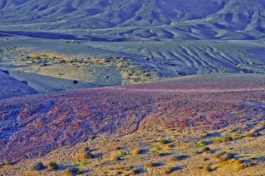 Photographie intitulée "lanzarote papagayo…" par Jean-Luc Bohin, Œuvre d'art originale