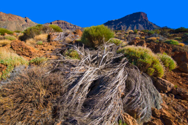 Photography titled "TEIDE NATIONAL PARK" by Jean-Luc Bohin, Original Artwork