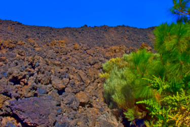 Fotografia intitulada "LAVA & PINE-TREE" por Jean-Luc Bohin, Obras de arte originais