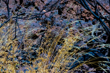 Photographie intitulée "ROQUE DE CHAVAO" par Jean-Luc Bohin, Œuvre d'art originale