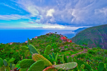 Photographie intitulée "PRICKLY PEAR OBSERV…" par Jean-Luc Bohin, Œuvre d'art originale