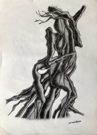 Drawing titled "Étude arbrologique 7" by Jean-Luc Coulaud, Original Artwork, Pencil