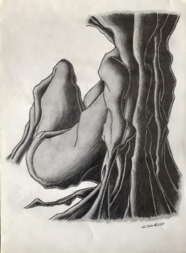 Dessin intitulée "Étude arbrologique 8" par Jean-Luc Coulaud, Œuvre d'art originale, Crayon