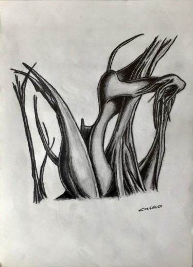 Dessin intitulée "Étude arbrologique 9" par Jean-Luc Coulaud, Œuvre d'art originale, Crayon