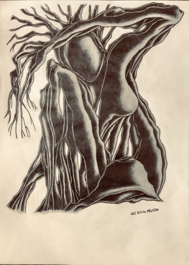 Drawing titled "Étude arbrologique…" by Jean-Luc Coulaud, Original Artwork, Pencil