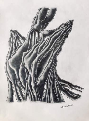 Dessin intitulée "Étude arbrologique…" par Jean-Luc Coulaud, Œuvre d'art originale, Crayon