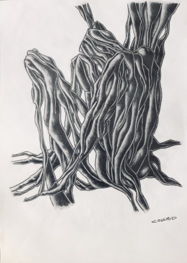 Zeichnungen mit dem Titel "Étude arbrologique…" von Jean-Luc Coulaud, Original-Kunstwerk, Bleistift