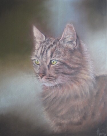 Painting titled "chat" by Jean Luc Mariot, Original Artwork, Pastel