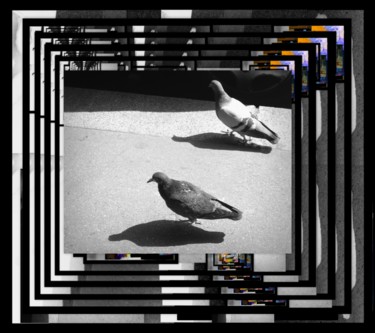 Digital Arts titled "Miroir aux Pigeons.…" by Jean-Luc Perrault, Original Artwork, Photo Montage