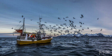 Fotografia intitulada "Pêcheurs de morues…" por Jean-Marc Blache, Obras de arte originais, Fotografia digital Montado em Alu…