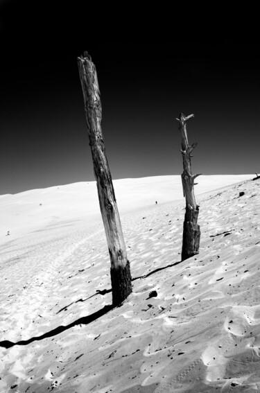 Photographie intitulée ""Dune "" par Jean-Marc Cédile, Œuvre d'art originale, Photographie argentique