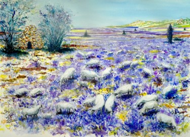 Peinture intitulée "Pâturage provençal" par Jean Marc Collombat, Œuvre d'art originale, Aquarelle